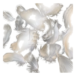 White Feathers 5–8 cm, 100 pcs — Breathing Exercises, Sensory Play, Decor
