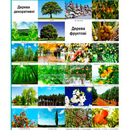 Тематичні фотоілюстраціі Взаємодія людини